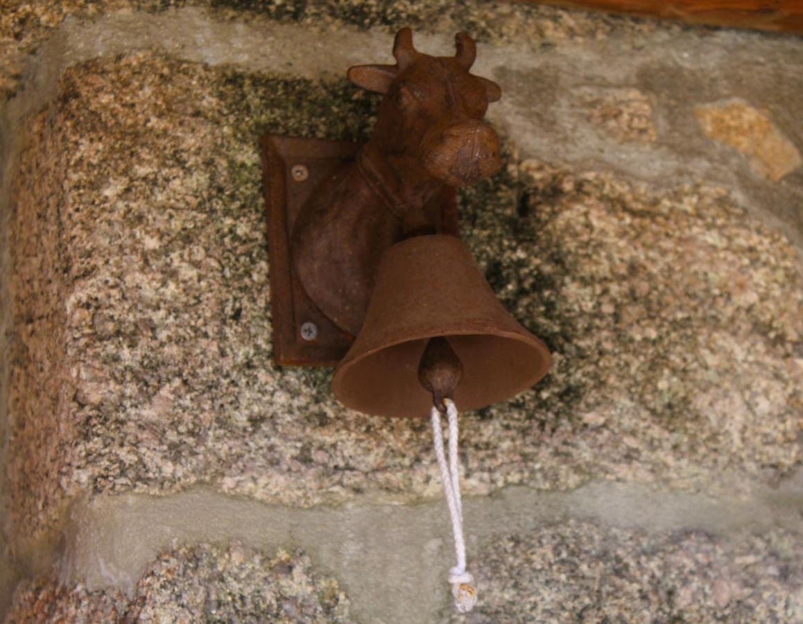 הוילה קסטרו לבוריירו Casa Boletus מראה חיצוני תמונה